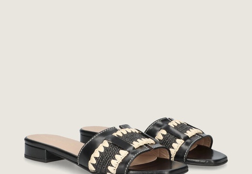 53273 001 53273 001 pers