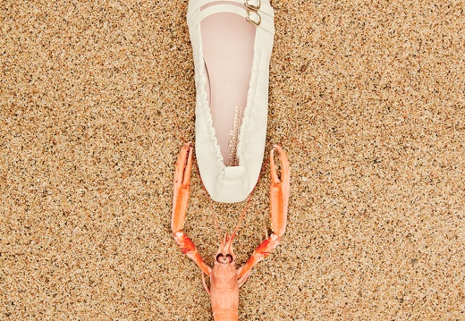 Marketingbilder SS24